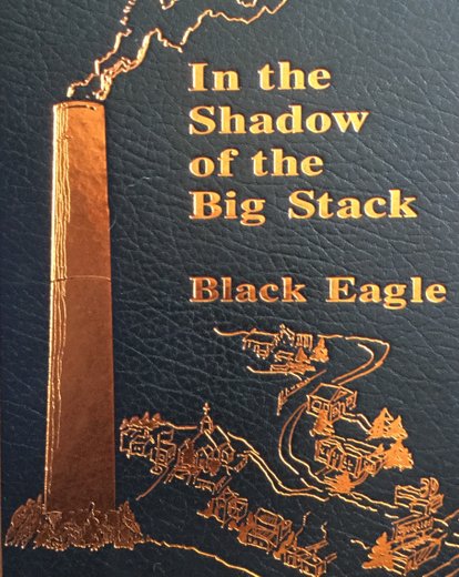 Black Eagle History Book
