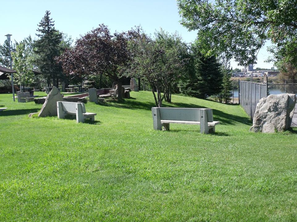 Photograph of benches at the Black Eagle Park